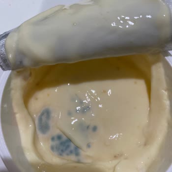 Sek Süt Quark Küflü Çıktı