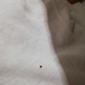 Arçelik Çamaşır Makinesi Çamaşırları Deliyor