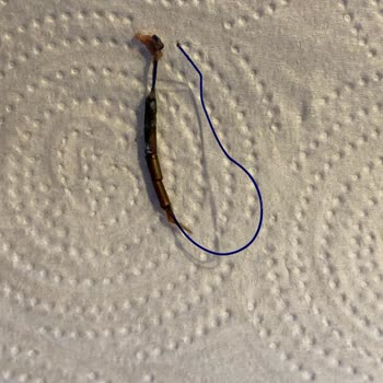 Gynefix Doğum Kontrol Başarısız