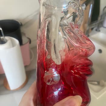 Bernardo'nun Fiyasko Su Bardakları