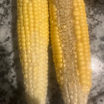 Trendyol Hızlı Market Trendyol Marketten Aldığım Mısır Siparişinde Sorun