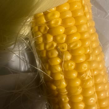 Trendyol Hızlı Market Trendyol Marketten Aldığım Mısır Siparişinde Sorun