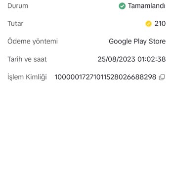TikTok İzinsiz Para Çekimi