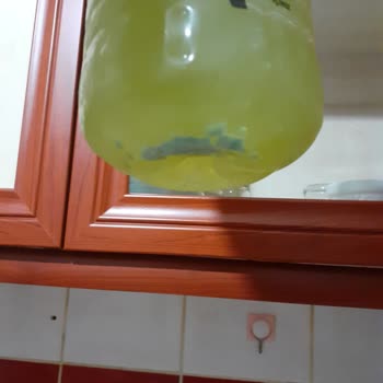 Ömür Bozası Bozuk Siri Plus Limonata