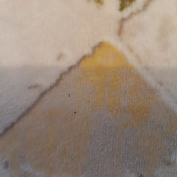 Ali Baba Halı Yıkama Hizmetinden Memnuniyetsizlik!