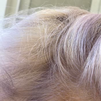 Palette Kutudaki Renk Çıkmıyor