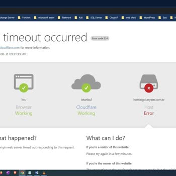 Hosting Dünyam Çökmüş Hizmet Veremiyor