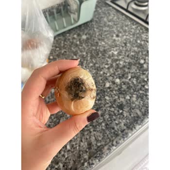 Getir Bu Nasıl Sipariş