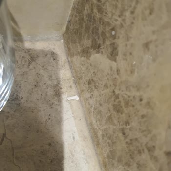 Ramada Resort Kuşadası Ramada Hotel Kuşadası