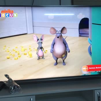 Beko Televizyon Ekranı Arızası