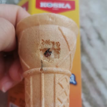 Koska Nazar Boncuklu Külah İçinden Yabancı Cisim Çıktı