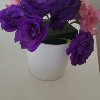 ÇiçekSepeti Görseli Kötü Sayısı Az Gönderilen Çiçek Siparişi