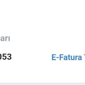 Türk Hava Yolları Uçuş