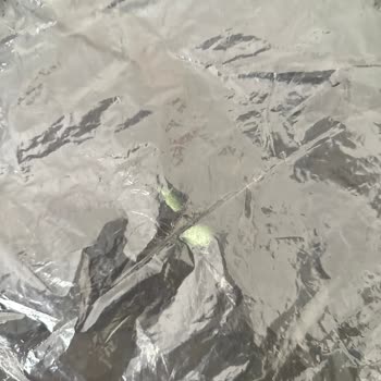 Aras Kargo Konuşma Üslupsuz Saygısız