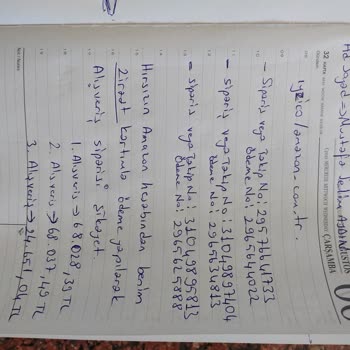 Bilgim Dişi Amazon Alışverişi