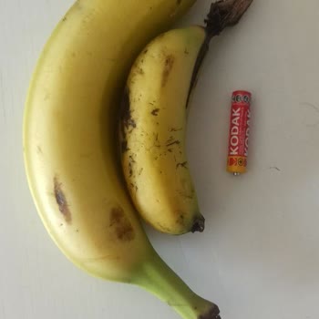 Migros Kalem Pil Boyutunda Muz Satıyor, Hem De Tane İle, 8 TL!