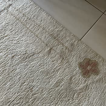 Okur Halı Yıkama (Esenler) Halılar Hiç Temizlenmediği Gibi Parama Da Yazık Oldu