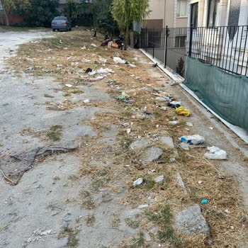 Eki aç
