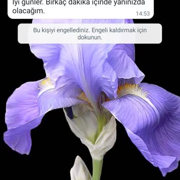 WhatsApp +62 857li Numaradan WhatsApp'tan Gelen Mesaj