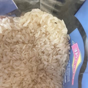 BİM Paketli Pirinçte Böcek