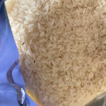 BİM Paketli Pirinçte Böcek