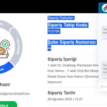 Domino's Pizza Pizzaya Sıkılan Ketçap Ürün Olmuş