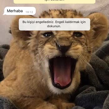 WhatsApp +62 Endonezya Kodlu Numaralardan Ardı Ardına Mesaj Almak