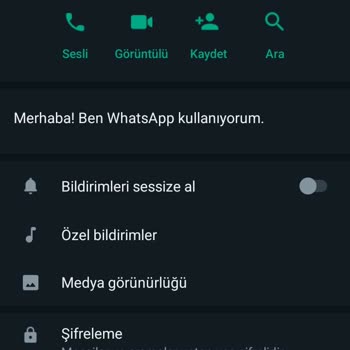WhatsApp Dan Yurt Dışı Numaradan Gelen Mesaj