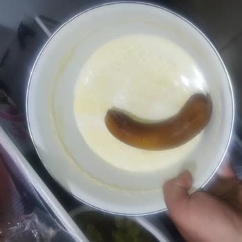 Profilo Çözüm Bulmak İstemiyor