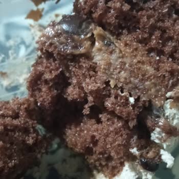 Dedeoğlu Pastanesi (Denizli) Pastadan Böcek Çıktı!