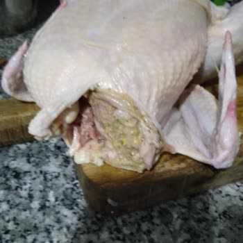 Lezita Piliçte Kalıntı Olması