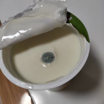 Sütaş Meyveli Yoğurt Küflü Çıktı