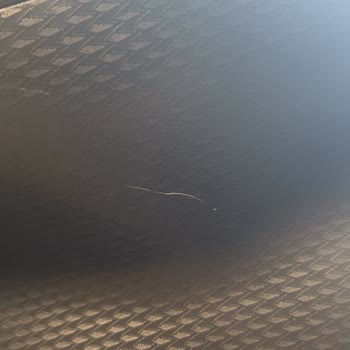 Bajaj Motorumun Teslim Alınması Ve Düzeltmeleri
