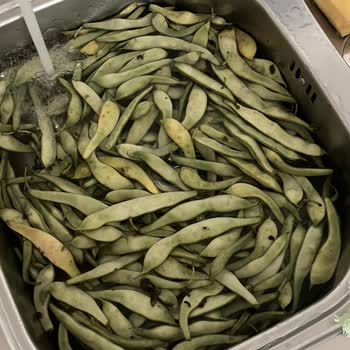 Migros Kalitesi Kırık Yumurtalar Çürük Domatesler Ve Kurtlu Fasulyeler