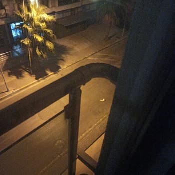 İBB - İstanbul Büyükşehir Belediyesi Sokak Köpeklerinden Gına Geldi