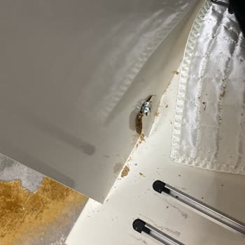 Türkmenler Exclusive Ürünler Kalitesiz Ve Kırık Geldi