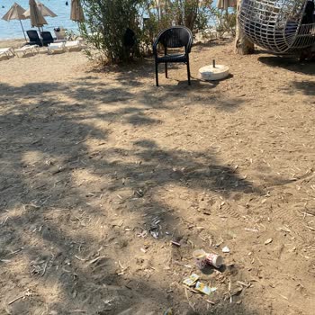 Halal Paradise Didim Hiç Memnun Kalmadık!