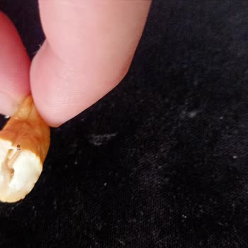 Altıntop Kuruyemiş Metro Market'ten Aldığım Ürünlerin İçinden Kurtçuk Çıktı!