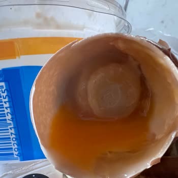 Raya Organik Küflü Bozuk Yumurtalar