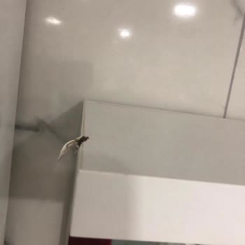 Koçtaş Montajı Sırasında Zarar Gören Ürün