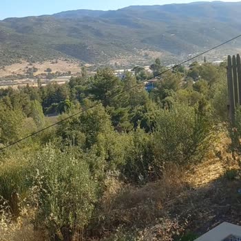 Villa Soft Güvenlik Şikayeti