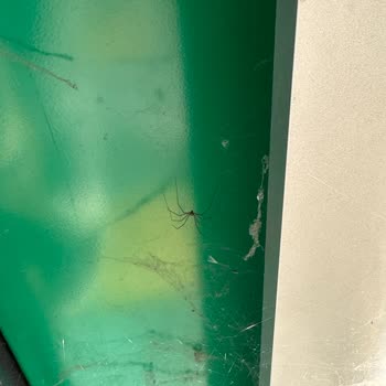TEB İzmir Otogar ATM Sorumsuzluğu
