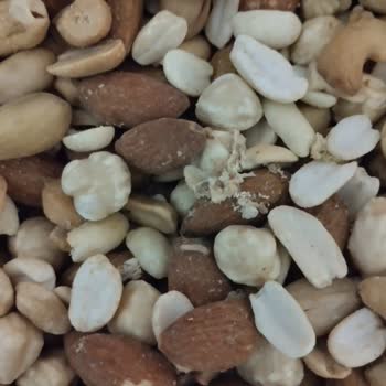 Güllübağlar Tatbak'tan Çekirdek Ve Karışık Çerezlerde Kurtlar!