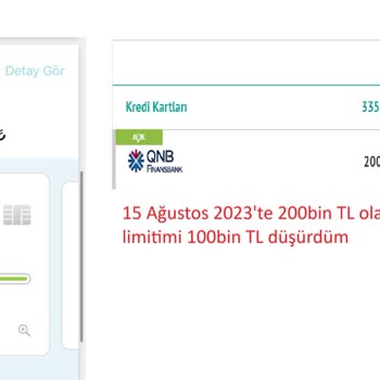 ING Pegasus Kart Limiti Arttırmıyor (başka Bankalarda Limit Düşürdüm)
