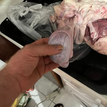 Bravo Süpermarket (Adana) Çürümüş Et Satışı