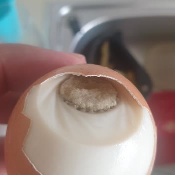 Bozuk Kozlu Yumurtalar