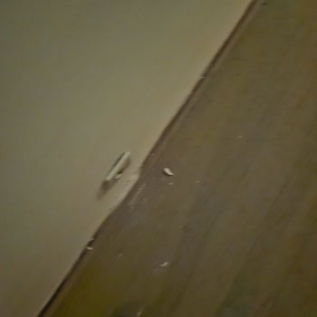 Narcia Resort Side'de Hijyen Ve Kalite Sorunu