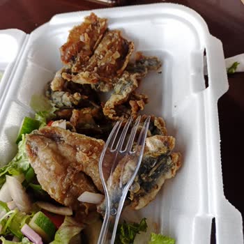 Kılıçbey Tekne Turu Şirketinden Şikayetçiyim