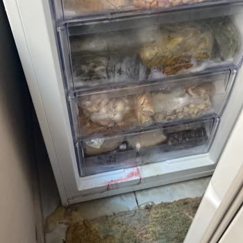 Beko Derin Dondurucu Arızası