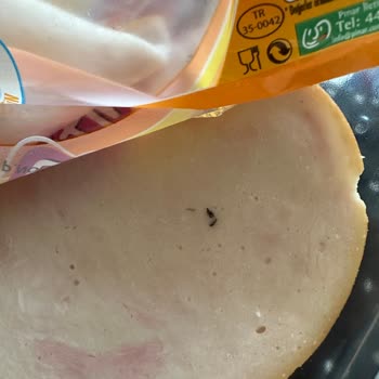 Pınar Et ve Süt Ürün İçerisinde Sinek Bulunması